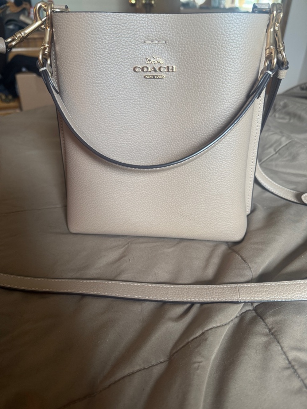 Coach Pebbled Leather Bucket Bag in Taupe